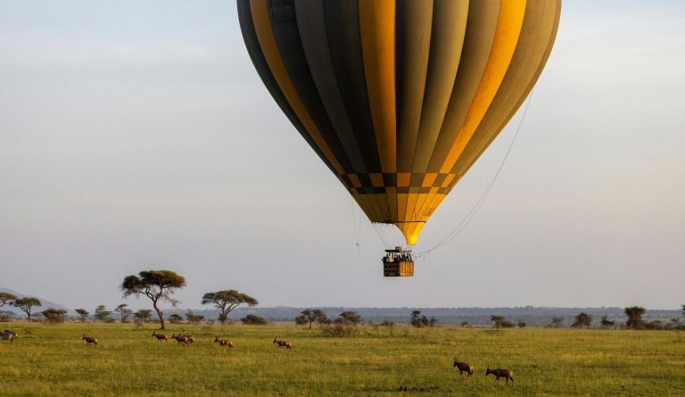 Wild in Nature Safaris (21)