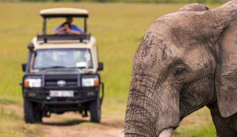 Wild in Nature Safaris (26)